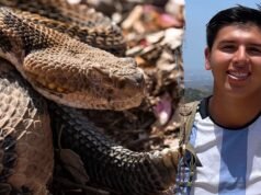 Ciclista de montanha da Califórnia morre picado por cascavel em trilha