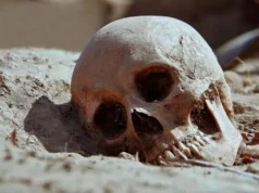 Dentes de 2.700 anos revelam vidas ocultas dos italianos da Idade do Ferro