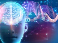 Cientistas descobrem que o interruptor do sono constrói músculos, queima gordura e aumenta a capacidade intelectual