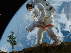 Fazendo homus na lua? Cientistas acabaram de cultivar grão de bico em solo lunar simulado