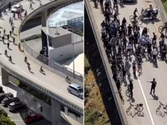 404 | Notícias da raposa