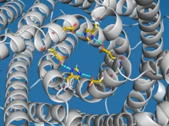 Cientistas descobrem ‘válvula de transbordamento’ em células ligadas à doença de Parkinson