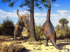 Alguns dinossauros poderiam crescer como gigantes – até ficarem grandes demais