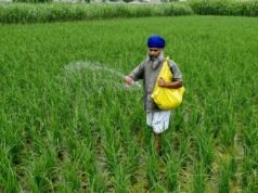 Enquanto o Irã ameaça uma guerra global de grãos: NPR