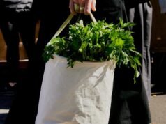 Ensaio fotográfico de estilo de rua do Hollywood Farmers Market