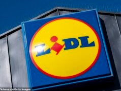 Lidl abrirá mais de 50 novas lojas e criará 2.000 empregos enquanto luta por participação de mercado