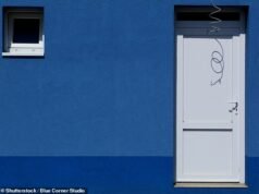 Meu vizinho conectou a casa dele à minha conexão de banda larga de fibra; O que devo fazer sobre isso? DEAN DUNHAM KC respondeu