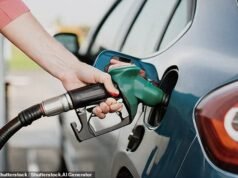 Pânico nas bombas impulsionou vendas, diz ONS