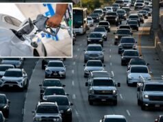 Grupo comercial de montadoras está pressionando o governo a reduzir o imposto sobre a gasolina e substituir a taxa de peso do veículo