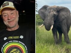 O proprietário do parque safari, que disse que preferia ser morto por um elefante do que baleado por um, foi esmagado até a morte por um elefante