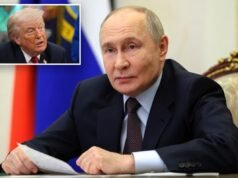 Trump diz que Putin pode concordar com cessar-fogo temporário na Ucrânia