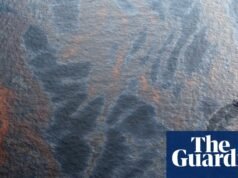 Grupos climáticos processam governo dos EUA pela aprovação de novo projeto da BP no Golfo do México | Notícias dos EUA