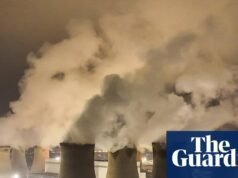 Drax reivindica subsídio recorde de £ 999 milhões para queima de árvores em 2025, diz thinktank | indústria energética