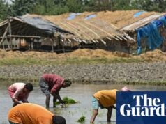 ‘Índia enfrentará crise alimentar’: Agricultores entram em pânico com a escassez de fertilizantes em meio à guerra no Irã | Índia