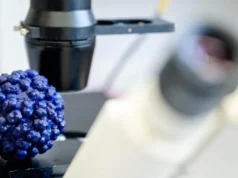 Um medicamento já em testes pode finalmente parar a hepatite E