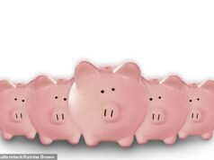 Melhores taxas Isa em dinheiro em 2025: nossa escolha das cinco melhores ofertas