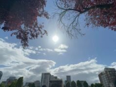 Portland estará mais quente e ensolarada no domingo