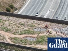 A ponte para a vida selvagem da Califórnia tornou-se um alvo da direita. Agora ele está olhando para a linha de chegada | Califórnia