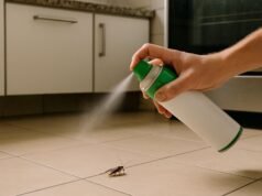 Estratégias eficazes para manter as baratas longe de sua casa