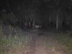 Dois homens foram presos por assassinar um septuagenário no Chaco