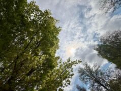 Portland verá outro dia quente na segunda-feira, antes que o tempo mude