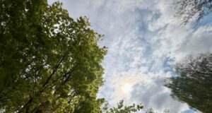 Portland verá outro dia quente na segunda-feira, antes que o tempo mude