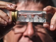 Qual é a picada mais dolorosa do mundo?