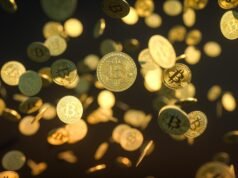 Quanto Bitcoin você comprou em 2016?