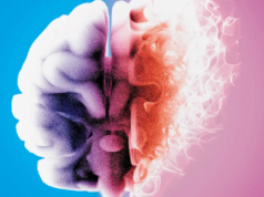 O medicamento experimental para Alzheimer FLAV-27 mostra-se promissor na redefinição do controle genético