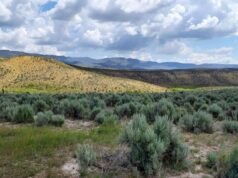 Grupos conservacionistas processam para suspender projeto de perfuração de lítio na fronteira Oregon-Nevada