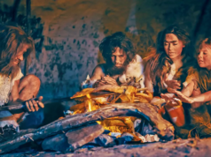 Estudo mostra que a exposição ao fogo molda a evolução humana e a resposta de recuperação