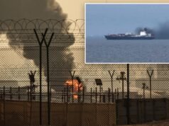 Emirados Árabes Unidos prontos para ajudar os EUA a abrir o Estreito de Ormuz à força: relatório