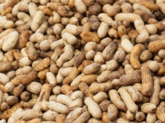 Atualização do recall de amendoim para 19 estados enquanto a FDA define o nível de risco