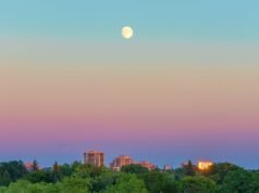 Quer saber meu segredo para aprender sobre o céu noturno? Bem-vindo ao Sidewalk Stargazing