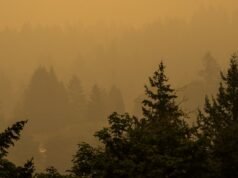 Um mapa interativo mostra o quão vulnerável é o seu bairro PNW a um desastre