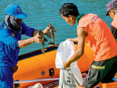 Operação em massa tem como alvo o bagre com boca de ventosa para restaurar o equilíbrio do ecossistema do rio Ciliwung