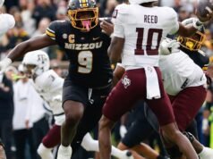 Verificação do clima de primavera: marrom Buncha