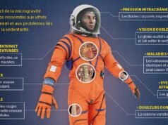 INFOGRÁFICO | Artemis II retorna: os efeitos das viagens espaciais no corpo