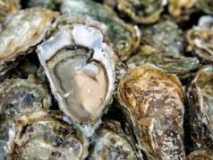 Ostras e mariscos retirados de Washington devido ao risco de norovírus