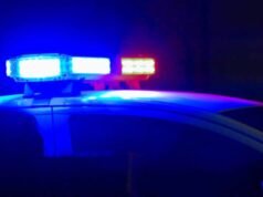 12 cães mortos foram levados à costa perto da ilha de Washington