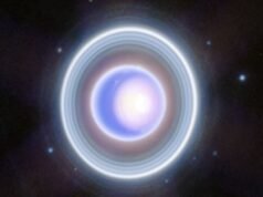 Anéis misteriosos ao redor de Urano apontam para luas escondidas orbitando o gigante de gelo