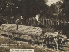 Imagens chocantes mostram como notícias falsas não são apenas um problema do século 21