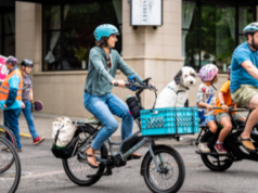 Depois de cair acentuadamente desde a década de 2010, o número de ciclistas de Portland se manteve estável nos últimos anos