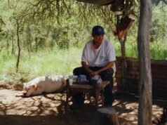 Luxbox Boards Cannes título “Double Freedom” de Lisandro Alonso