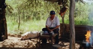 Luxbox Boards Cannes título “Double Freedom” de Lisandro Alonso