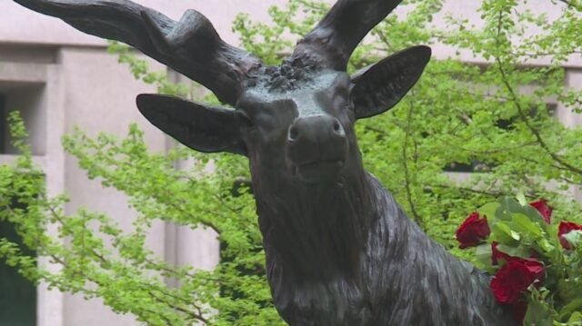 The-Elk-Statue-returns-to-Downtown-Portland.-April-12-2026-KOIN.1.jpg