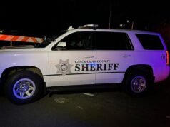 O motorista morreu depois que o veículo caiu em um lago do condado de Clackamas, uma investigação está em andamento