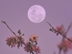 A lua cheia de abril determina a data da Páscoa – veja como