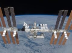 Tripulação de minúsculos vermes pronta para lançamento na Estação Espacial Internacional em 10 de abril