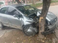 Acidente fatal na Avenida Aguirre: homem tenta fugir de cachorro e bate em árvore